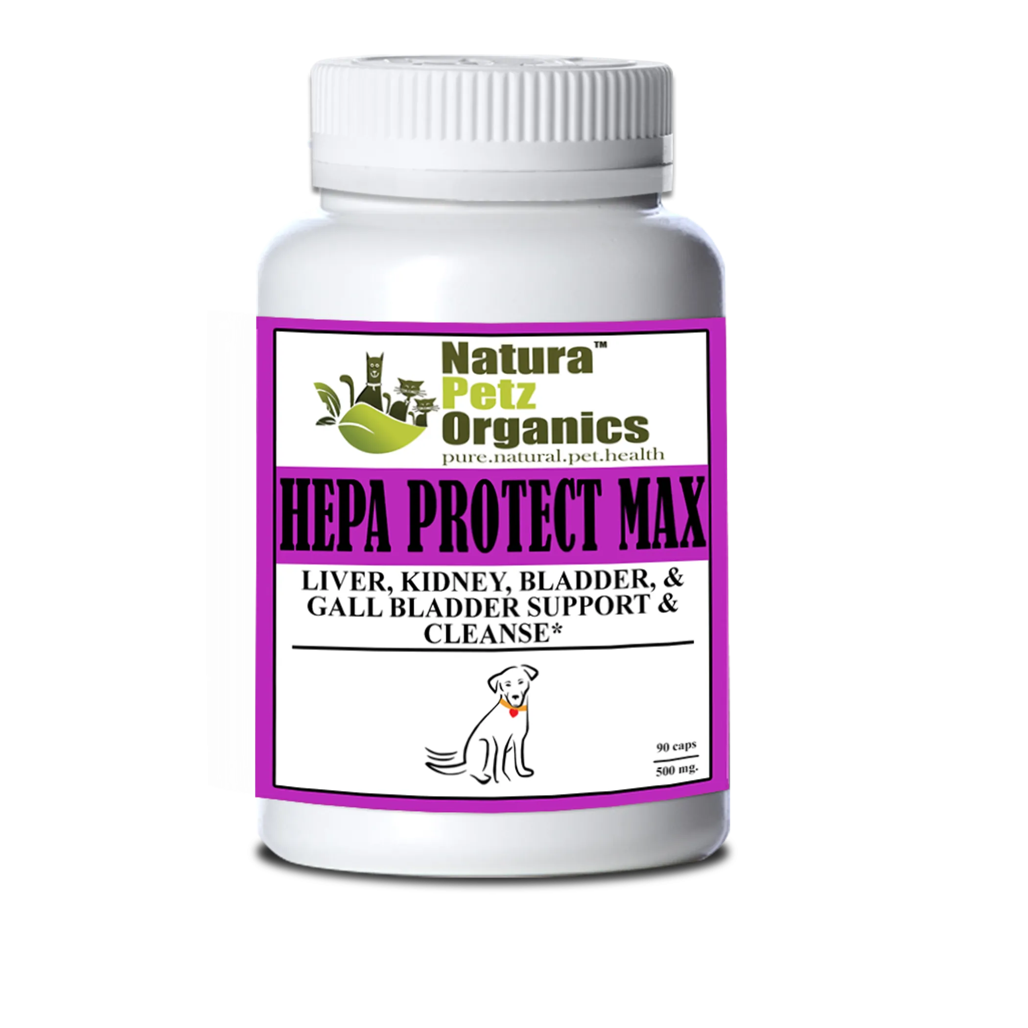 Hepa Protect Max Capsules - Liver, Kidney, Bladder & Gall Bladder Support & Cleanse*